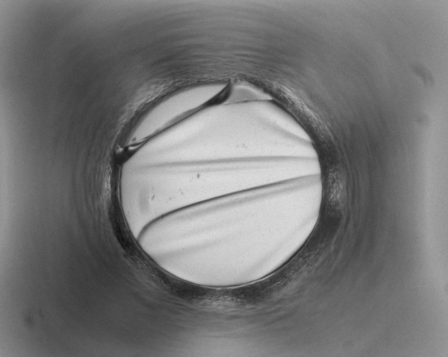 X0000116660685201001041110