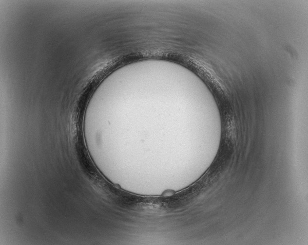 X0000116660687201001041110