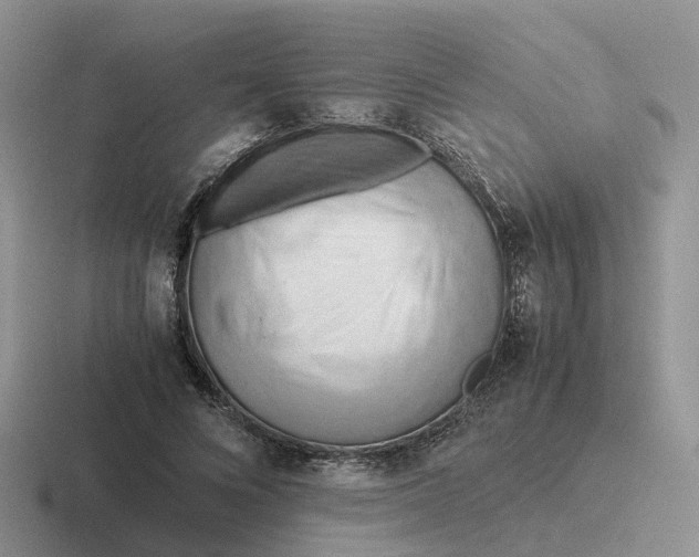 X0000116660688201001041110