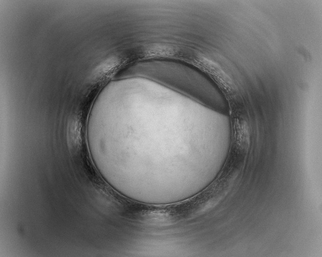 X0000116660692201001041110