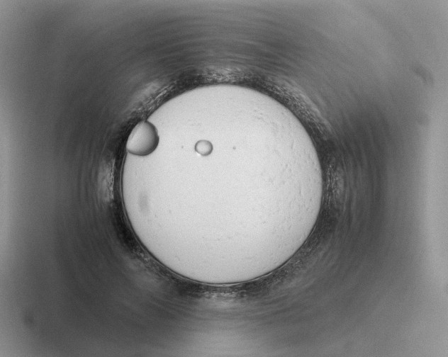 X0000116660694201001041110