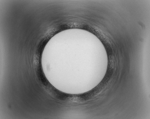 X0000116660695201001041110