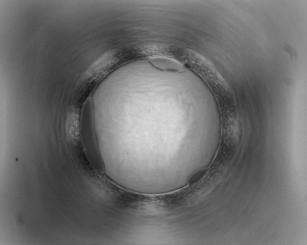 X0000116660696201001041110