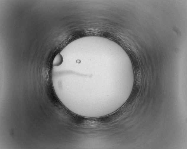 X0000116660699201001041110