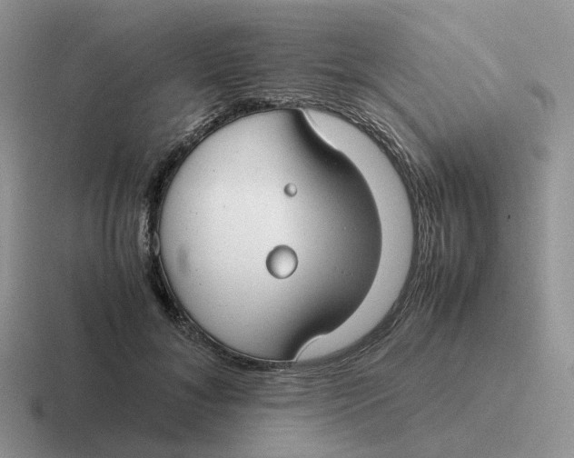 X0000116660700201001041110