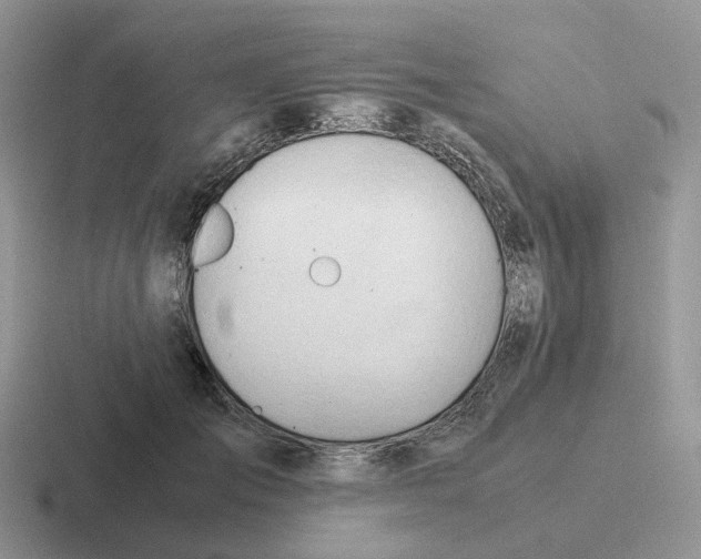 X0000116660701201001041110