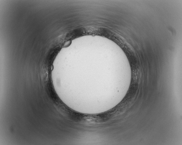 X0000116660703201001041110