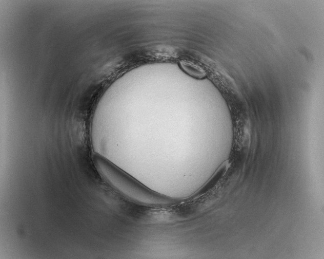 X0000116660704201001041110