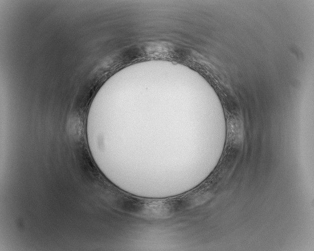 X0000116660705201001041110