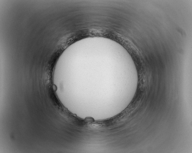 X0000116660706201001041110