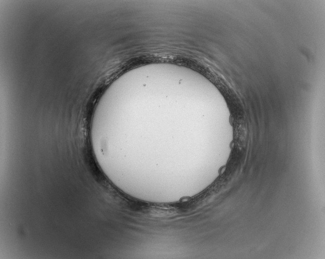 X0000116660707201001041110