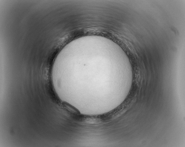 X0000116660708201001041110