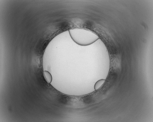 X0000116660709201001041110