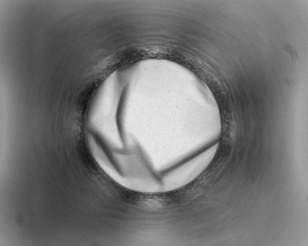 X0000116660710201001041110