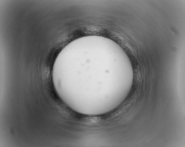 X0000116660711201001041110