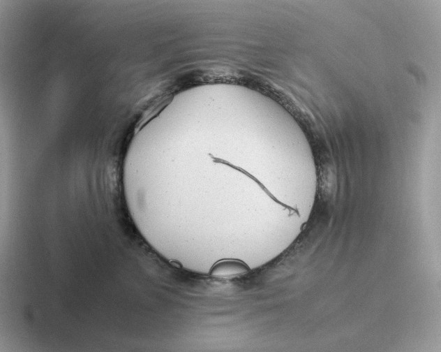 X0000116660715201001041110