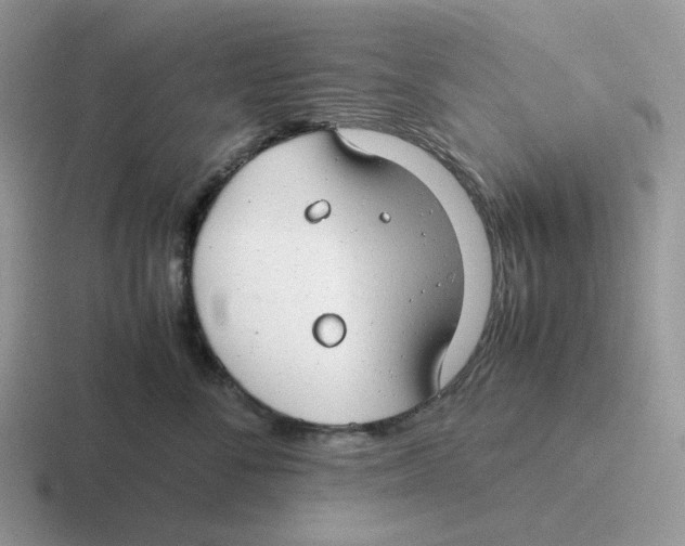 X0000116660716201001041110