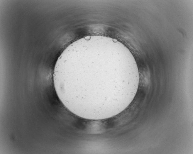 X0000116660717201001041110