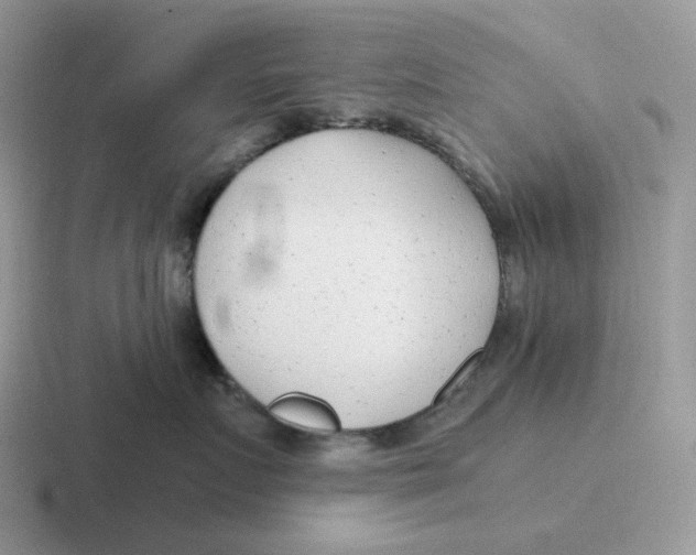 X0000116660719201001041110