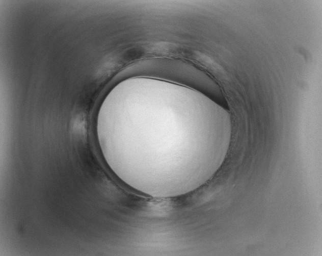 X0000116660720201001041110