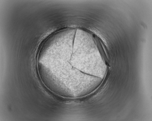 X0000116660721201001041109