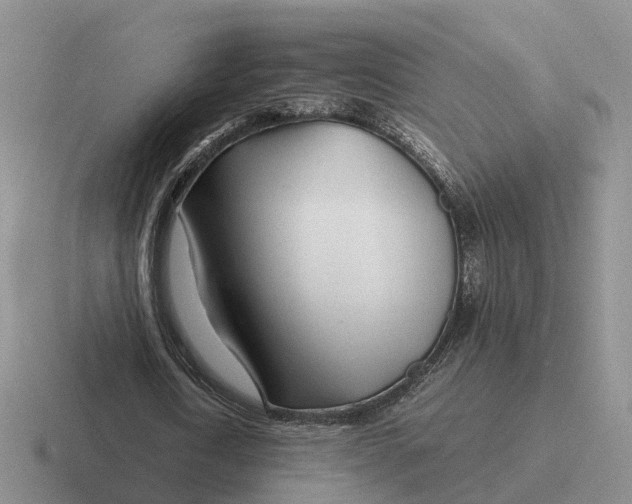 X0000116660722201001041109