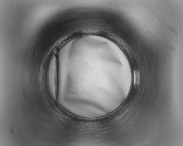 X0000116660723201001041109