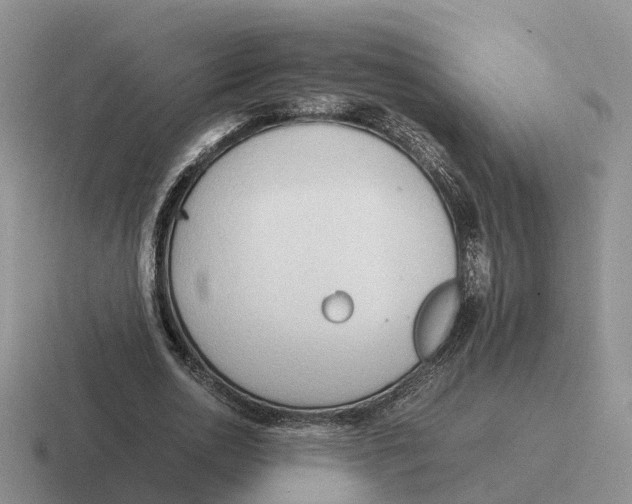 X0000116660726201001041109