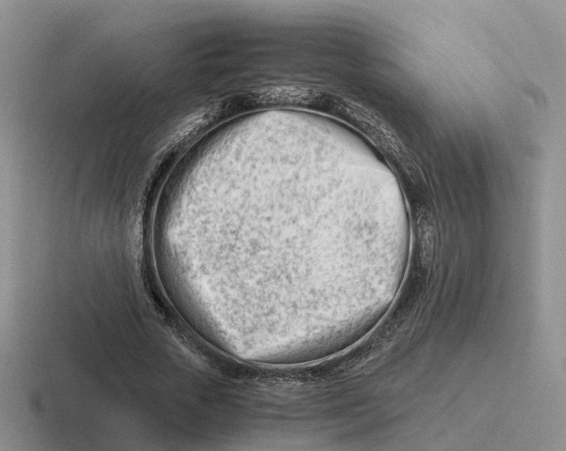 X0000116660729201001041109