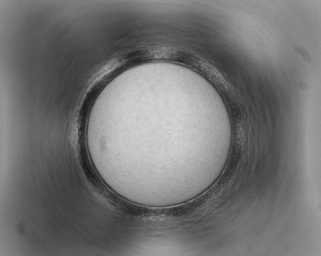 X0000116660730201001041109