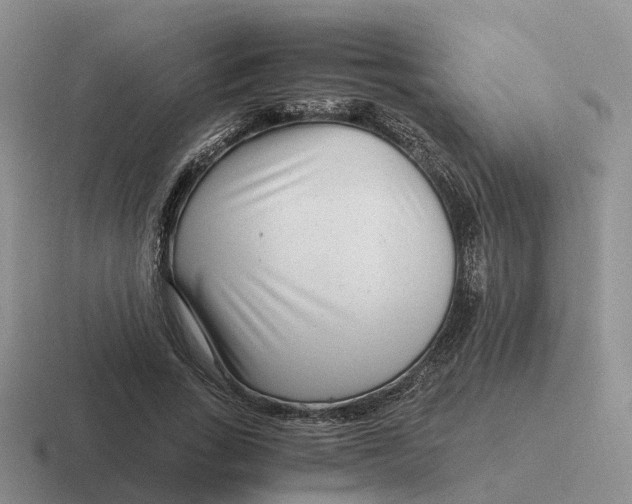 X0000116660735201001041109