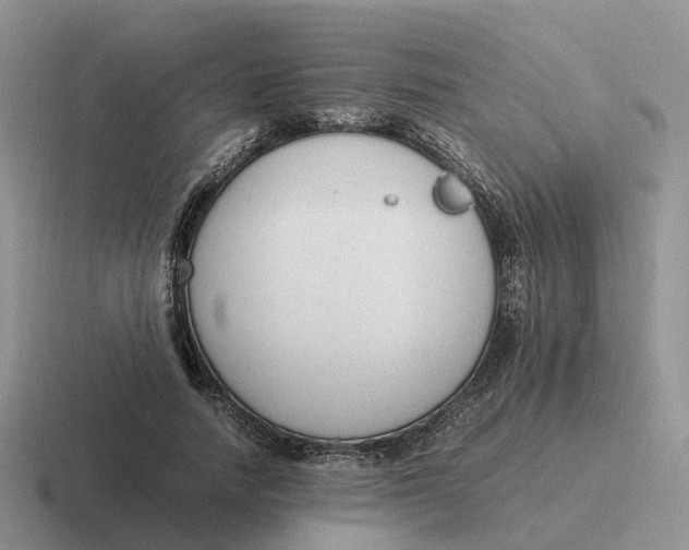 X0000116660738201001041109