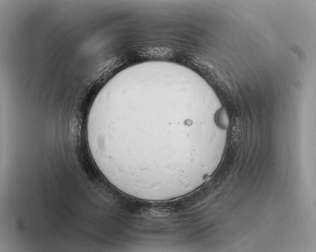 X0000116660739201001041109