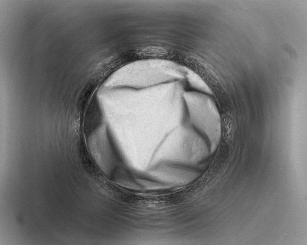 X0000116660745201001041109