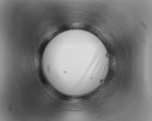 X0000116660746201001041109