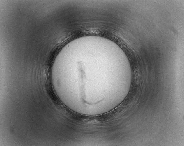 X0000116660747201001041109