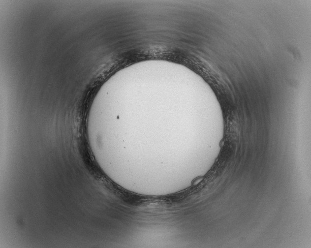 X0000116660750201001041109