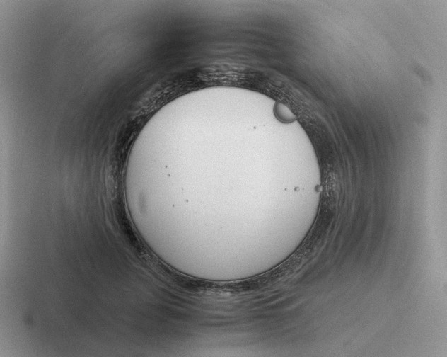 X0000116660751201001041110