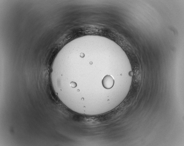 X0000116660753201001041110