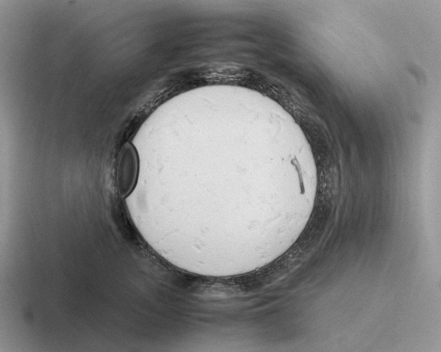 X0000116660755201001041110