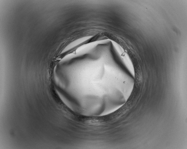 X0000116660759201001041110