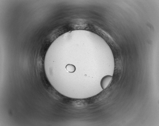 X0000116660761201001041110