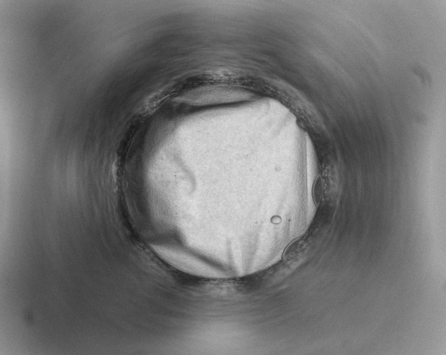 X0000116660762201001041110