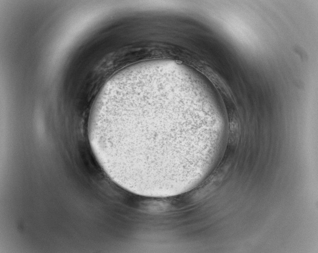 X0000116660765201001041110