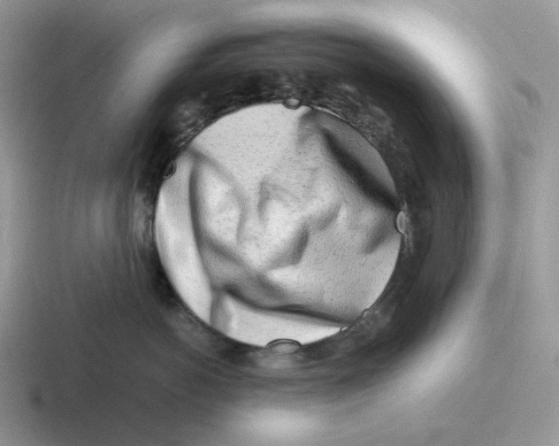 X0000116660766201001041110