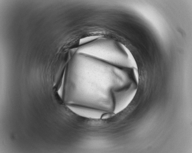 X0000116660767201001041110