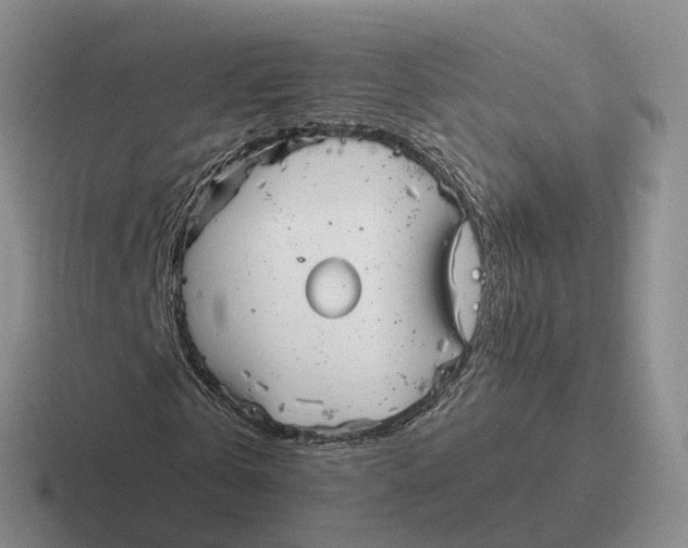 X0000116660769201001041109