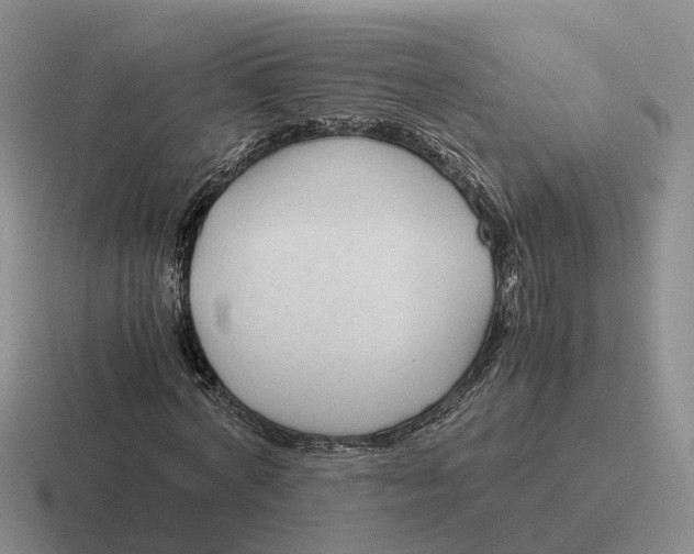 X0000116660772201001041109