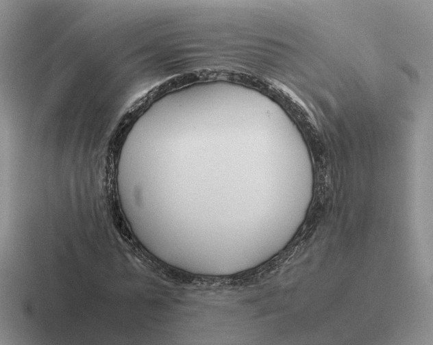 X0000116660775201001041109