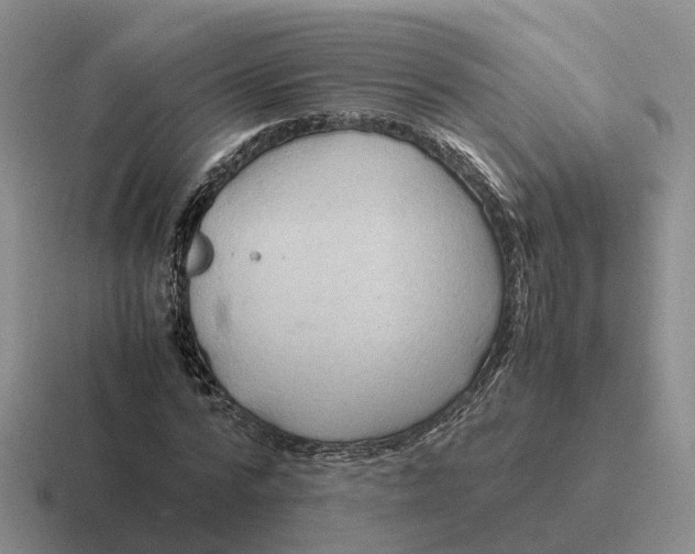 X0000116660776201001041109